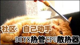 �Լ����ַ�����ʳ ����8�ȹ�ɢ����