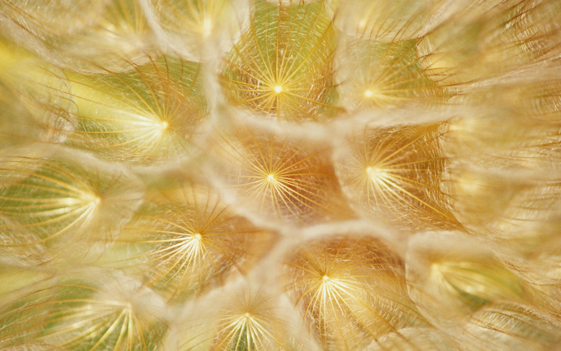 联想14寸笔记本电脑壁纸